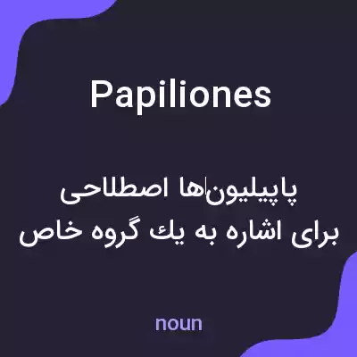 معنی papiliones به فارسی معنی papiliones به فارسی