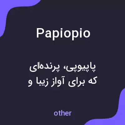 معنی papiopio به فارسی معنی papiopio به فارسی