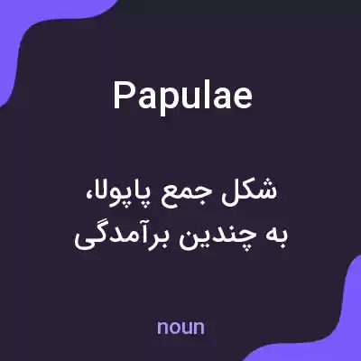معنی papulae به فارسی معنی papulae به فارسی
