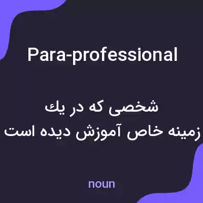 معنی para-professional به فارسی