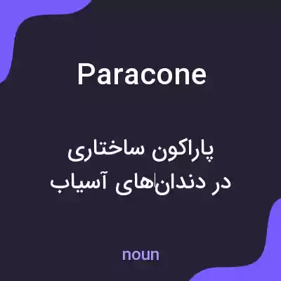 معنی paracone به فارسی معنی paracone به فارسی
