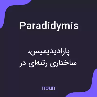 معنی paradidymis به فارسی معنی paradidymis به فارسی