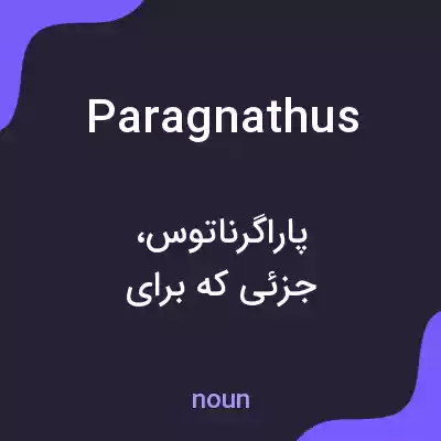 معنی paragnathus به فارسی معنی paragnathus به فارسی