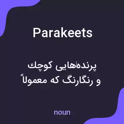 معنی parakeets به فارسی معنی parakeets به فارسی