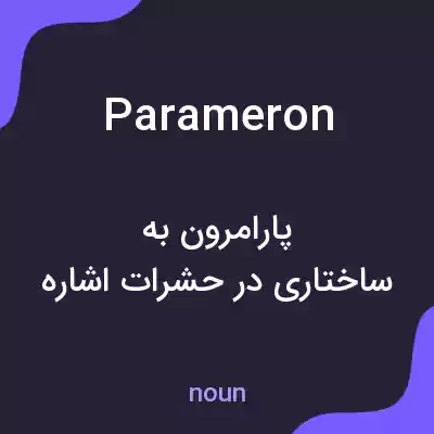 معنی parameron به فارسی معنی parameron به فارسی
