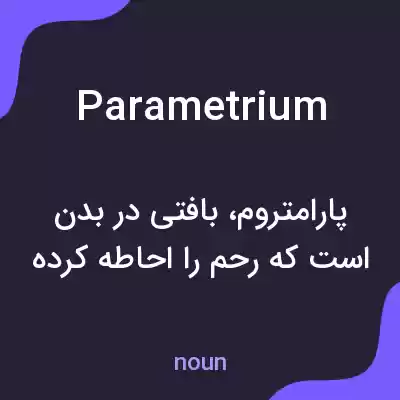 معنی parametrium به فارسی معنی parametrium به فارسی