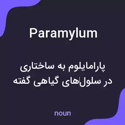 معنی paramylum به فارسی معنی paramylum به فارسی