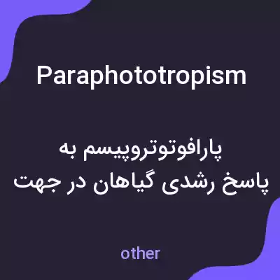 معنی paraphototropism به فارسی معنی paraphototropism به فارسی