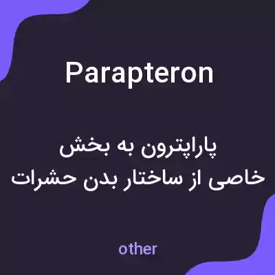 معنی parapteron به فارسی معنی parapteron به فارسی