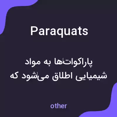 معنی paraquats به فارسی معنی paraquats به فارسی