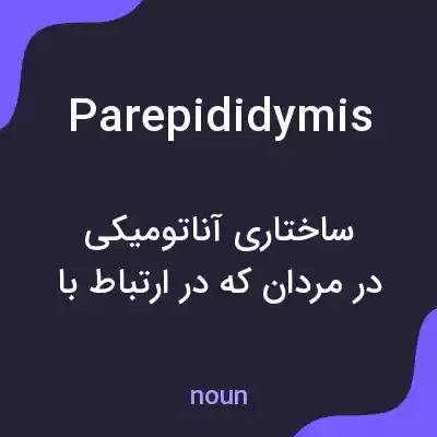 معنی parepididymis به فارسی معنی parepididymis به فارسی