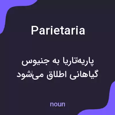 معنی parietaria به فارسی معنی parietaria به فارسی