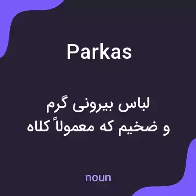 معنی parkas به فارسی معنی parkas به فارسی