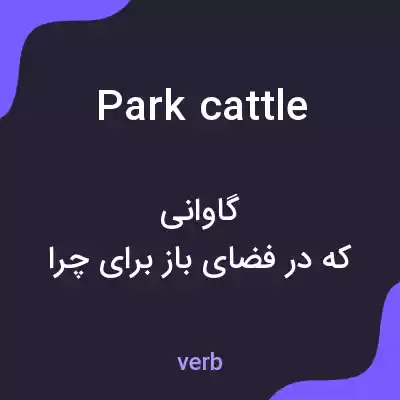 معنی park cattle به فارسی