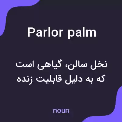 معنی parlor palm به فارسی معنی parlor palm به فارسی