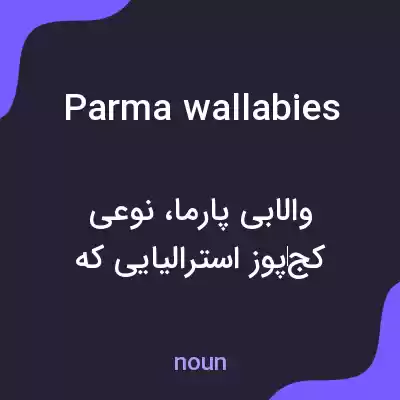 معنی parma wallabies به فارسی معنی parma wallabies به فارسی