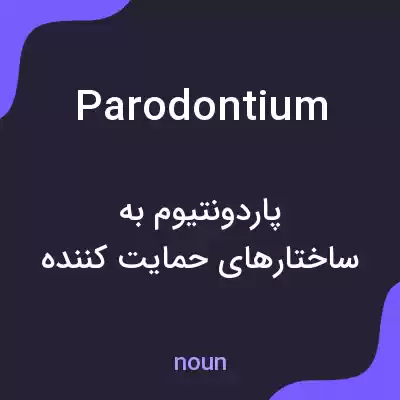 معنی parodontium به فارسی معنی parodontium به فارسی