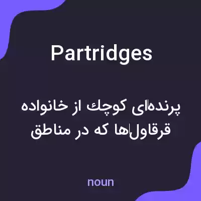 معنی partridges به فارسی معنی partridges به فارسی
