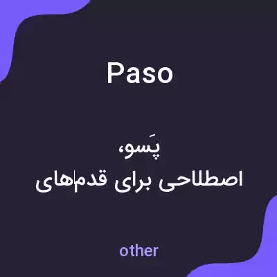 معنی paso به فارسی معنی paso به فارسی
