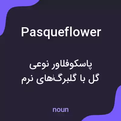 معنی pasque flower به فارسی معنی pasque flower به فارسی