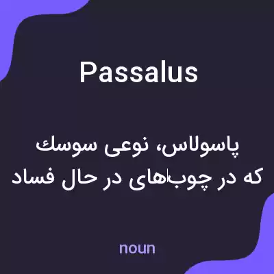 معنی passalus به فارسی معنی passalus به فارسی
