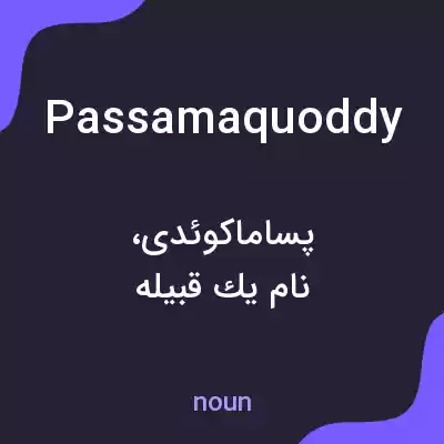 معنی passamaquoddy به فارسی معنی passamaquoddy به فارسی