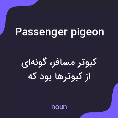 معنی passenger pigeon به فارسی معنی passenger pigeon به فارسی