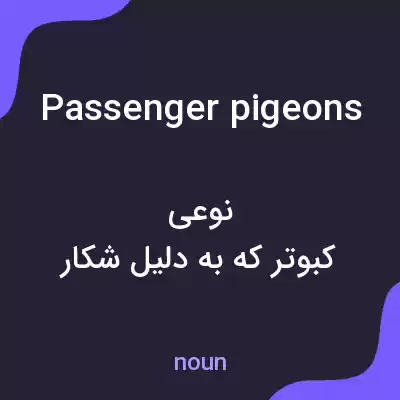 معنی passenger pigeons به فارسی معنی passenger pigeons به فارسی