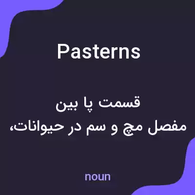 معنی pasterns به فارسی معنی pasterns به فارسی
