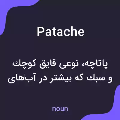معنی patache به فارسی معنی patache به فارسی