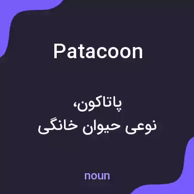 معنی patacoon به فارسی معنی patacoon به فارسی