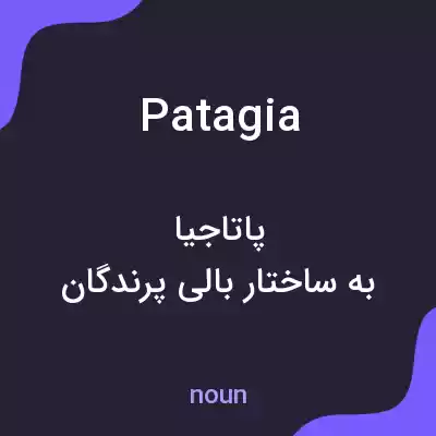 معنی patagia به فارسی معنی patagia به فارسی