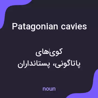 معنی patagonian cavies به فارسی معنی patagonian cavies به فارسی