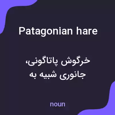 معنی patagonian hare به فارسی معنی patagonian hare به فارسی