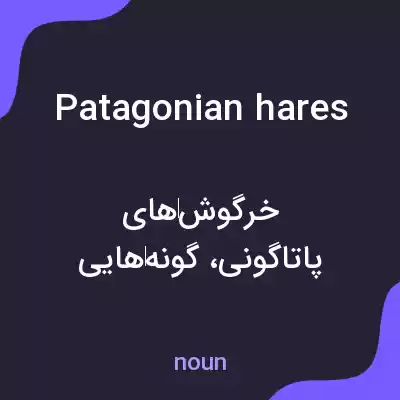 معنی patagonian hares به فارسی معنی patagonian hares به فارسی