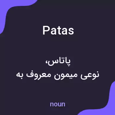 معنی patas به فارسی معنی patas به فارسی