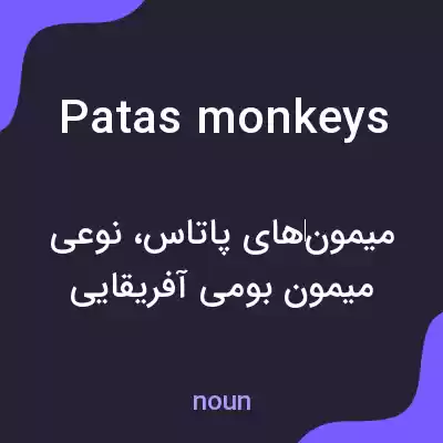 معنی patas monkeys به فارسی معنی patas monkeys به فارسی