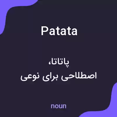 معنی patata به فارسی معنی patata به فارسی