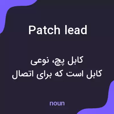 معنی patch lead به فارسی معنی patch lead به فارسی