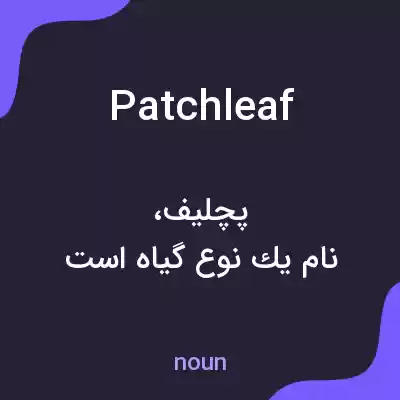 معنی patchleaf به فارسی معنی patchleaf به فارسی