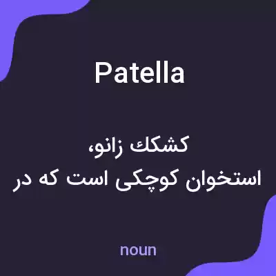 معنی patella به فارسی