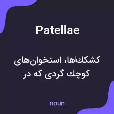 معنی patellae به فارسی