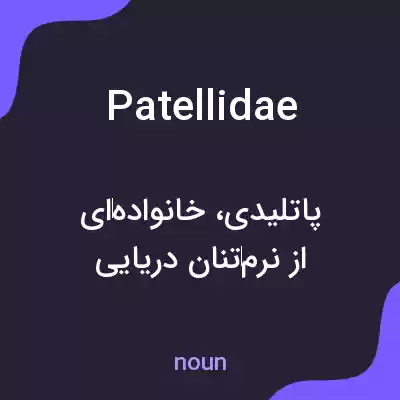 معنی patellidae به فارسی معنی patellidae به فارسی