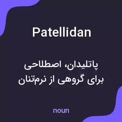 معنی patellidan به فارسی معنی patellidan به فارسی