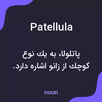 معنی patellula به فارسی معنی patellula به فارسی