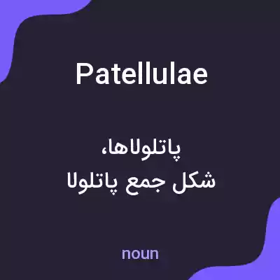 معنی patellulae به فارسی معنی patellulae به فارسی