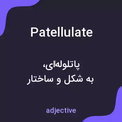 معنی patellulate به فارسی معنی patellulate به فارسی