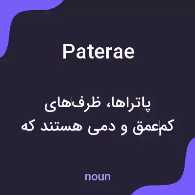 معنی paterae به فارسی معنی paterae به فارسی