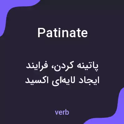 معنی patinate به فارسی معنی patinate به فارسی