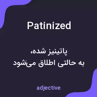 معنی patinized به فارسی